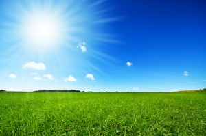 Heat Illness