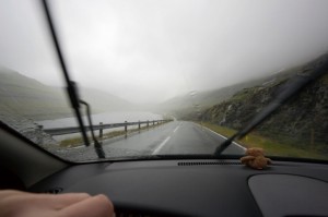 driving in fog